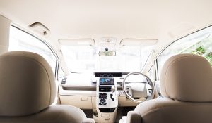 Why Car Enthusiasts Worldwide Love Bride Racing Seat Cushions (And How to Pick Yours) image