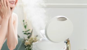 The Gentle Ritual: Embracing Beauty Steam Facial Saunas for Your Quiet Moments image