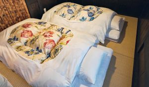 Where to Buy a Foldable Shikibuton Mattress: A Guide for Authentic Japanese Comfort image
